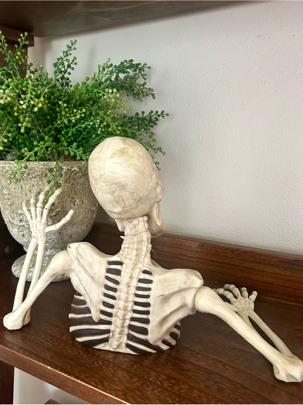 New Halloween 2026 Mini Ground Breaker Skeleton - Picture 2 of 2